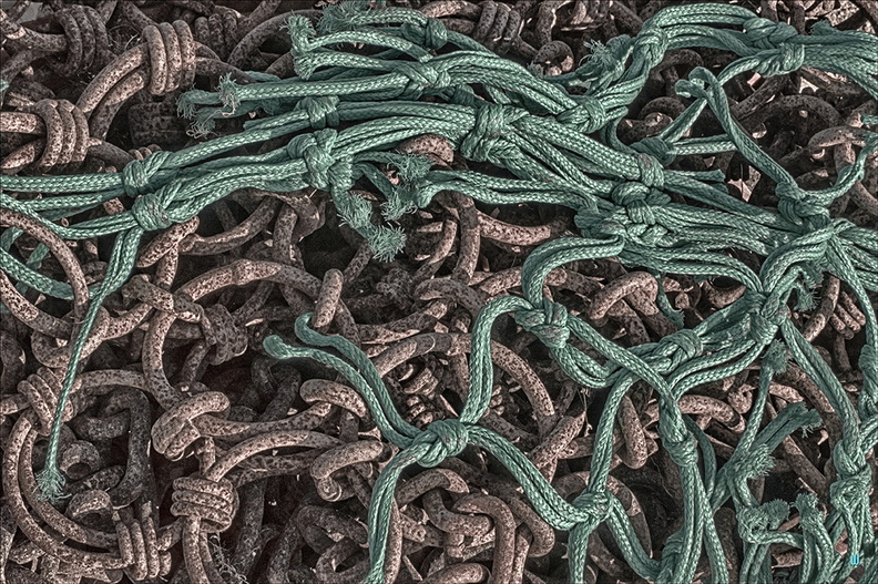 Chain & Net