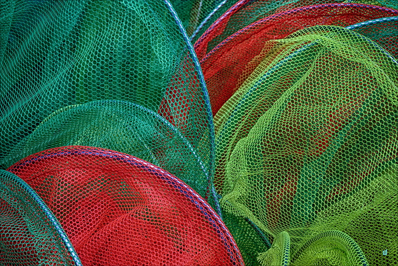 Multicolored Landing Nets