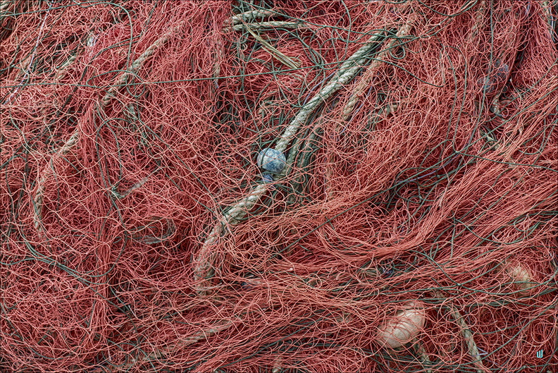 Pink Fishing Nets