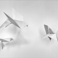 WP-origami-birds-P3080358-progress-001-1100px.jpg
