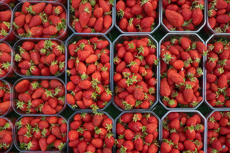 Trays of strawberries