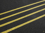 William - Yellow & Black