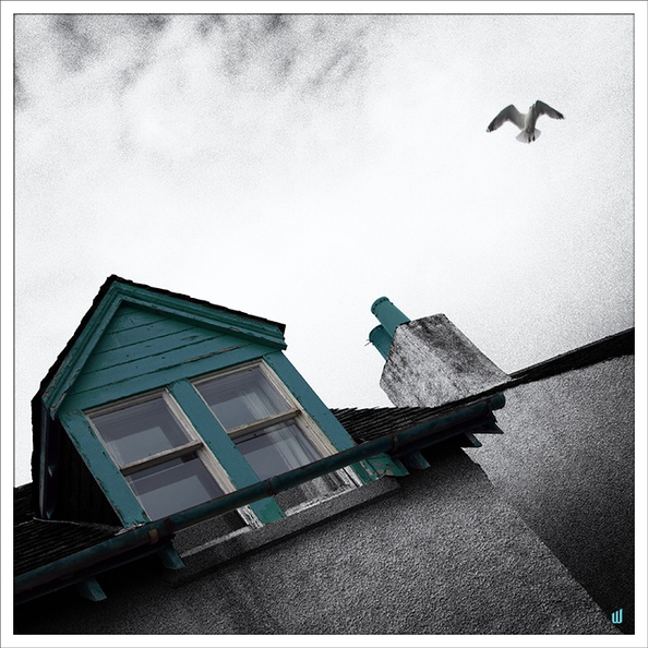 BlueSquare-Window&Seagull-P6247737-resized-framed-v-2021-001-733px.jpg