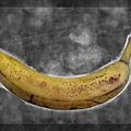 banana-industrialisation-733px.jpg