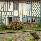 The blue timbered old manor