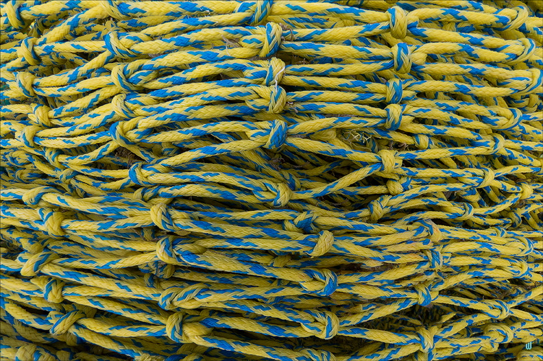 Yellow & Blue net