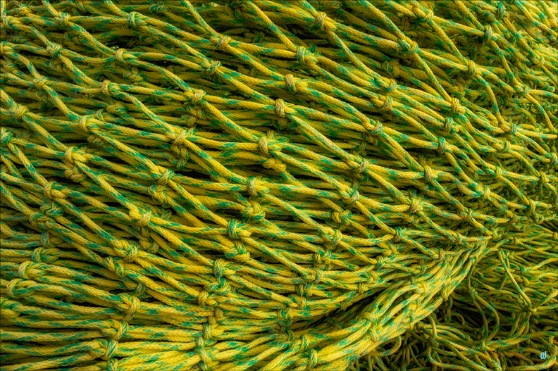 Yellow & Green net