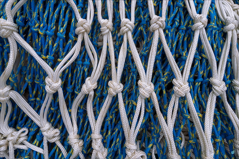 White & Blue nets