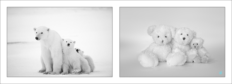 Three Polar Bears (Inspired V.Munier)