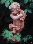 Bacco Bambino