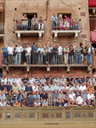 2007 08 13 094-Tribune-People-001 copie-733px