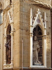 2007 08 19 259-Petrus copie-733px