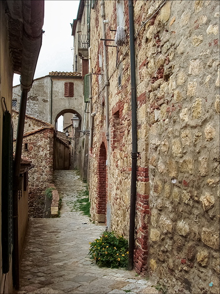 2007 08 21 330-street copie-733px.jpg