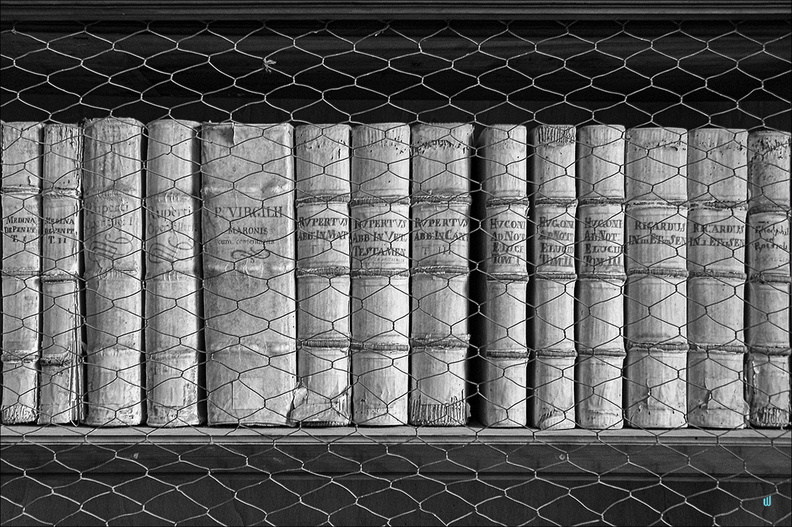 2007 08 24 146-books-B&amp;W copie-1100px