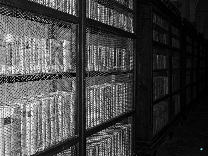 2007 08 24 157-books-bw copie-733px