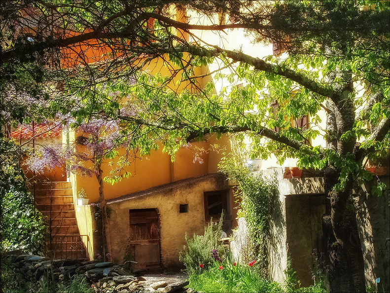 P4230054-typic-001 copie-733px