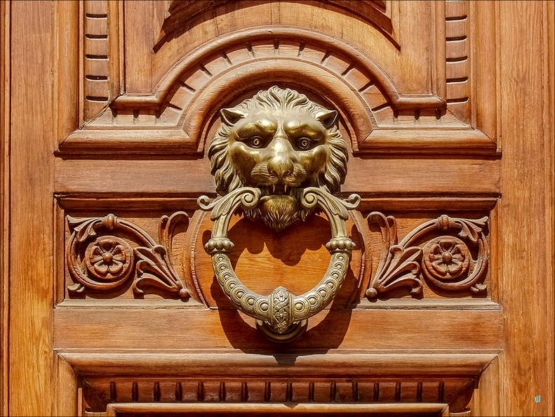 P4250143-wood-door copie-733