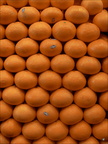 P4250202-mandarines copie-733px