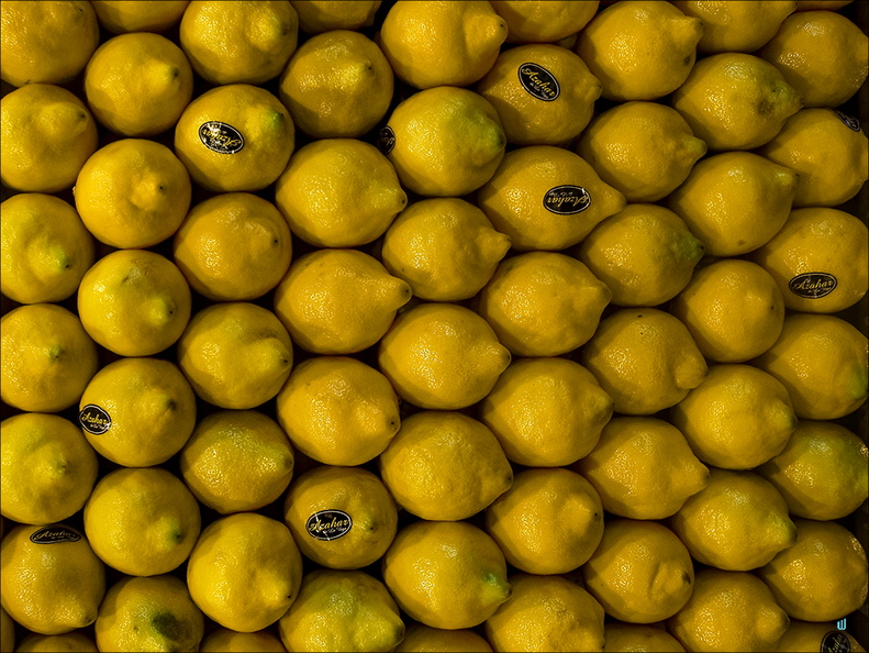 P4250204-lemons-H copie-733px