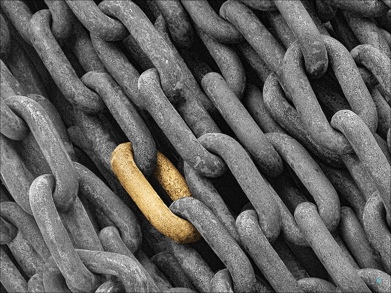 P6130109-chains-gold copie-733px