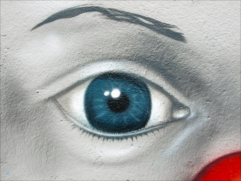 P6143727-eye copie-733px