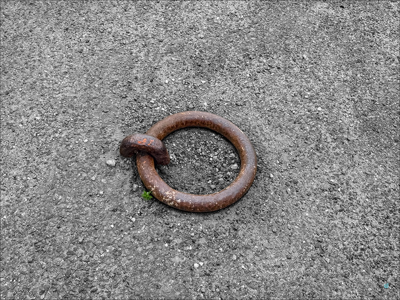 P6164094-ring copie-733px