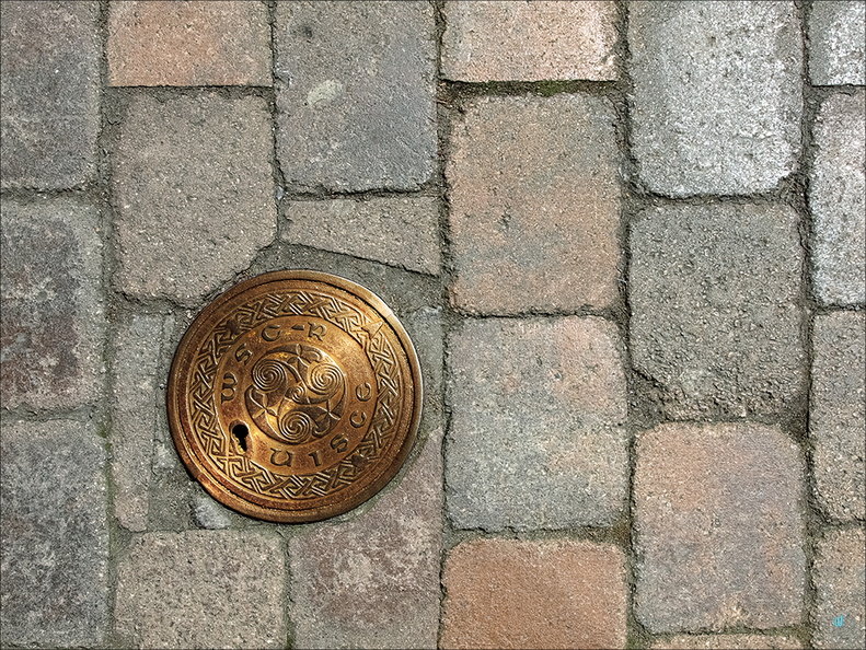 P6194427-sol-search-for-gold copie-733px