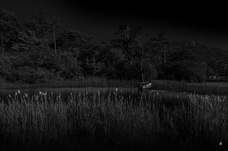 P6204627-river copie-1100px