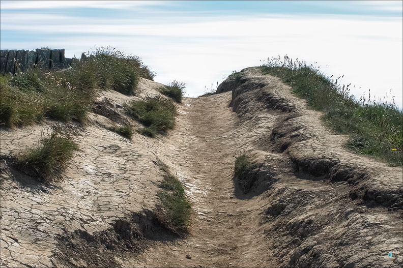 P6214772-path-24x36 copie-1100px