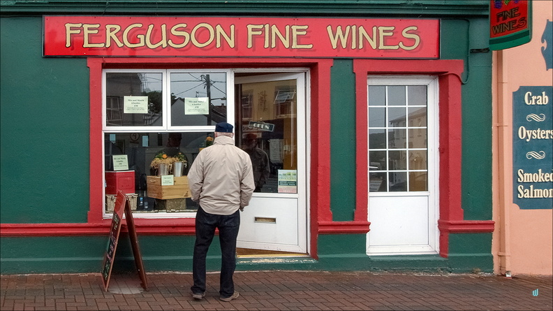 P6224848-ferguson copie-733px