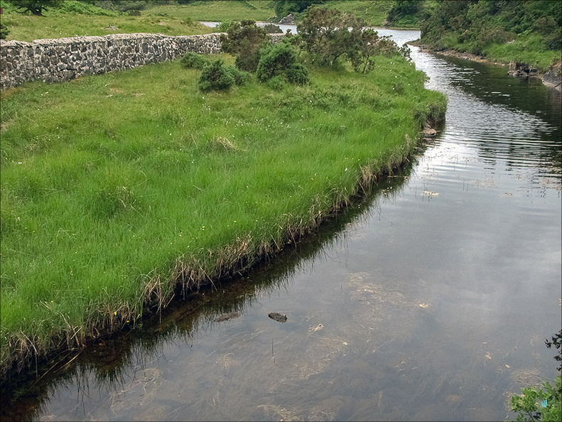 P6235024-river copie-733px