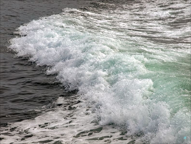 P6245260-wave copie-733px