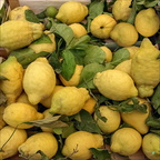 Limoni