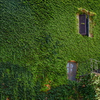 Insalata architettonica