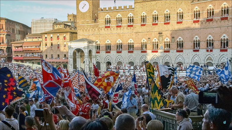 Palio di Siena 06