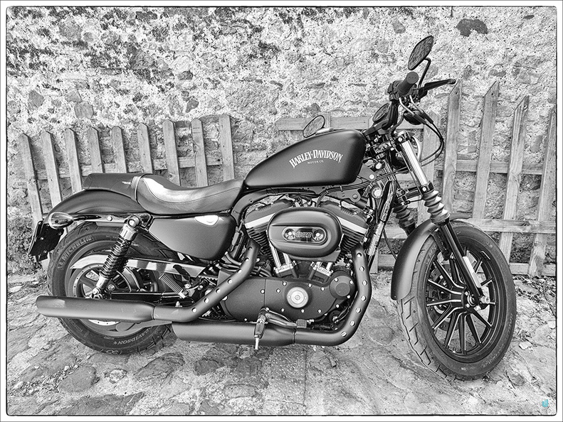 Harley