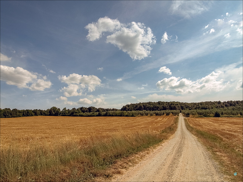 Strada di campagna v.2.0