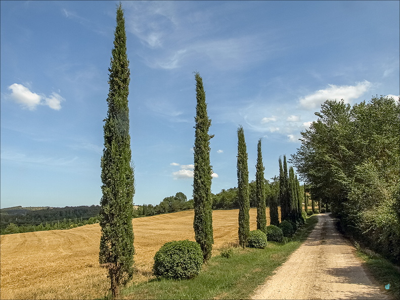 Strada di campagna v.1.0