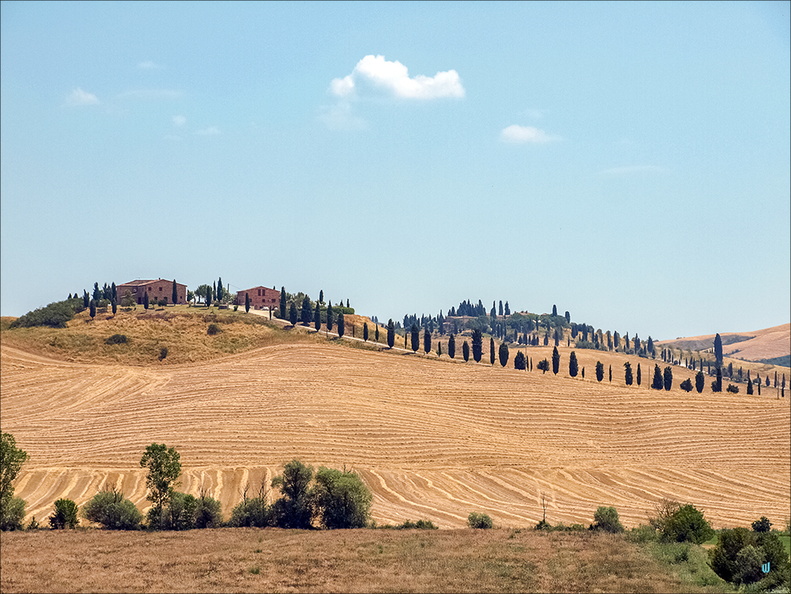 Paesaggio tipico toscano