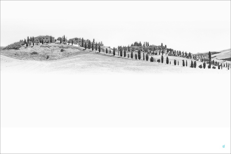 Paesaggio tipico toscano B&W