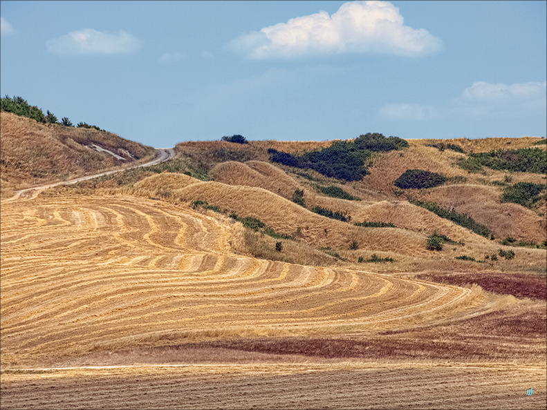 Colline