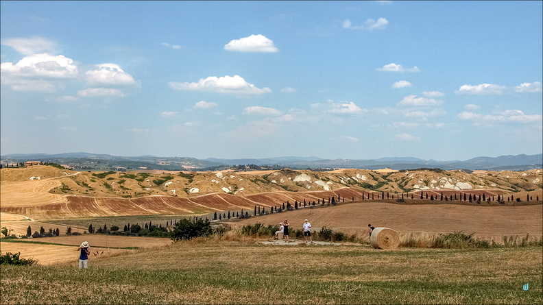 Amici - Panorama