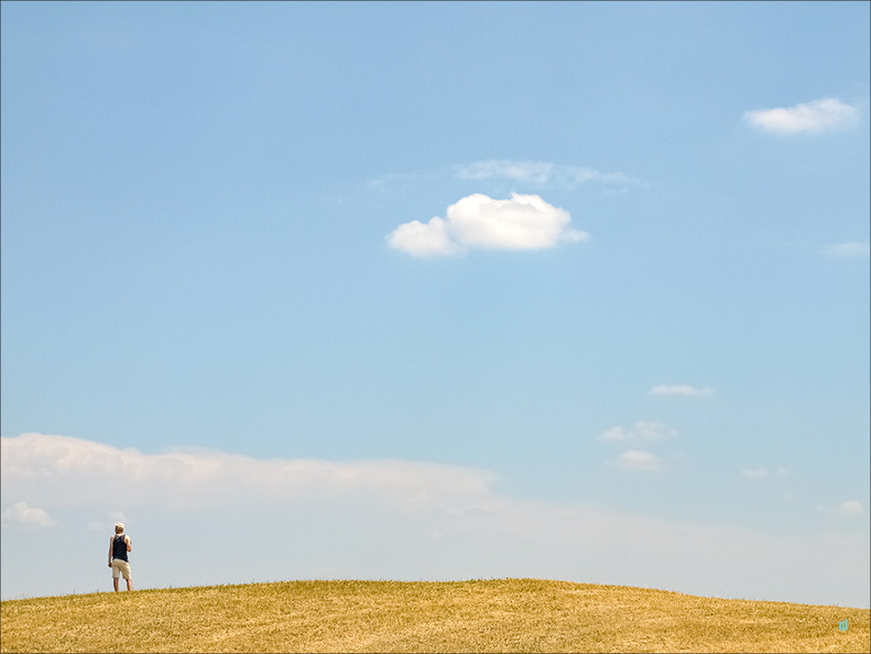 The fool on the hill v0.0a