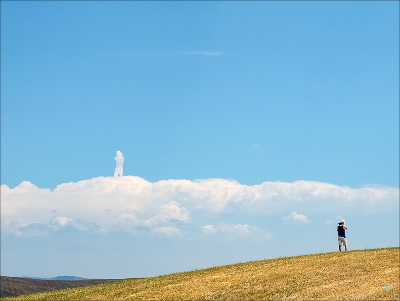 The fool on the hill