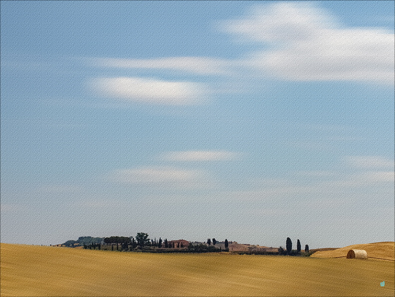 Disegno