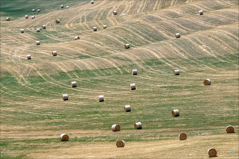 Migliaia