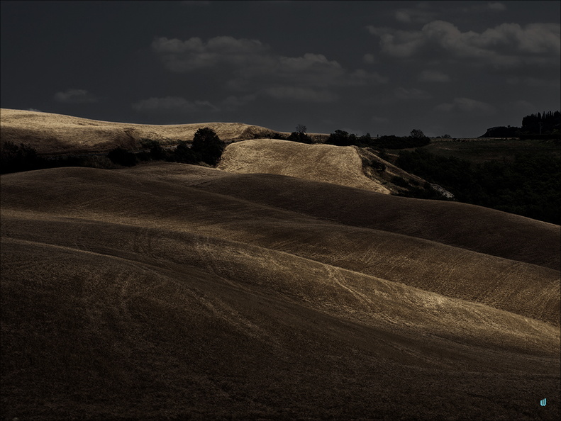 Campo scuro