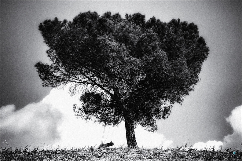 Dondola B&W 01