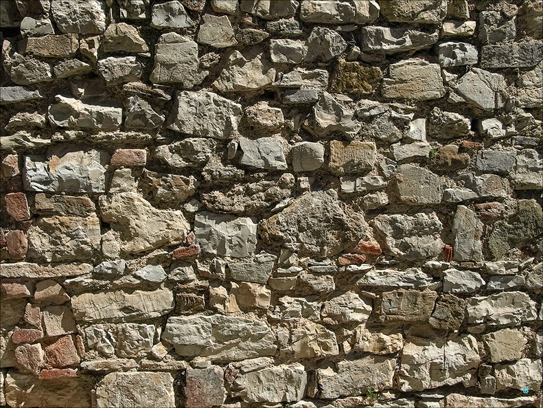 Muro