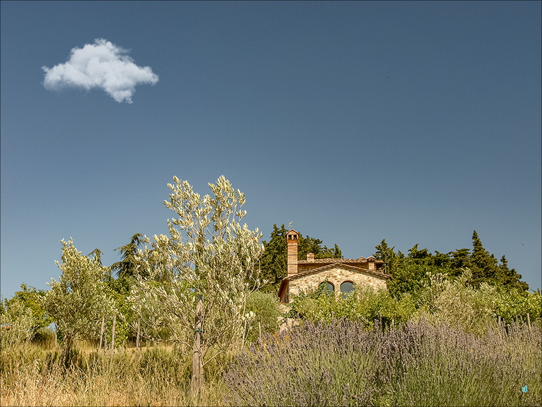Villa tipica
